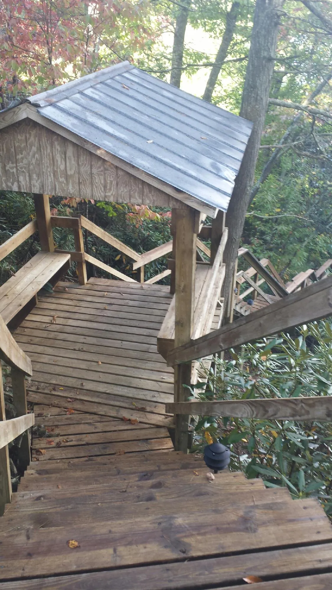 Metal roofed shelter over wooden steps on a wooded walkway — Skylight Repair & Installation work by our crew in Hammondsport